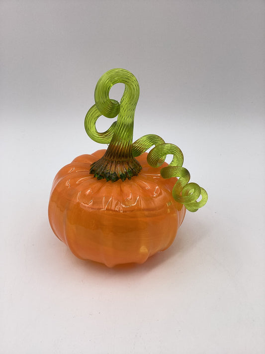 Medium Orange Pumpkin