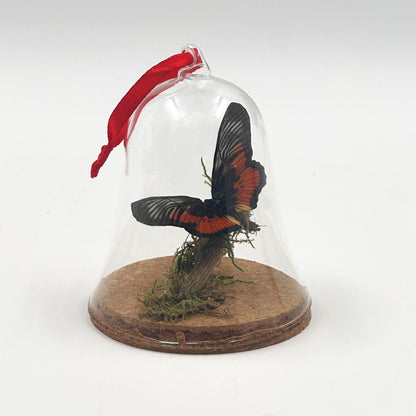Butterfly Ornament