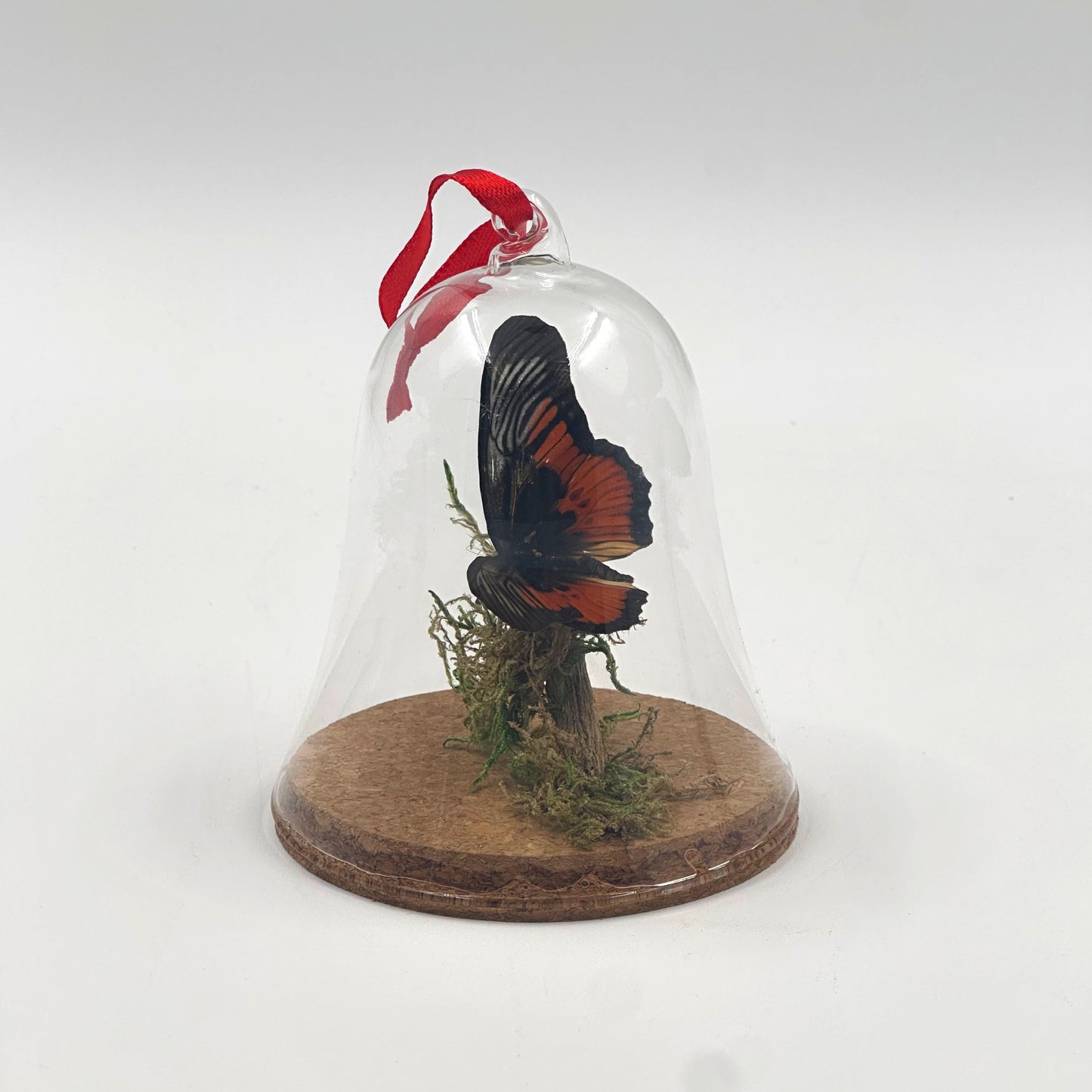 Butterfly Ornament