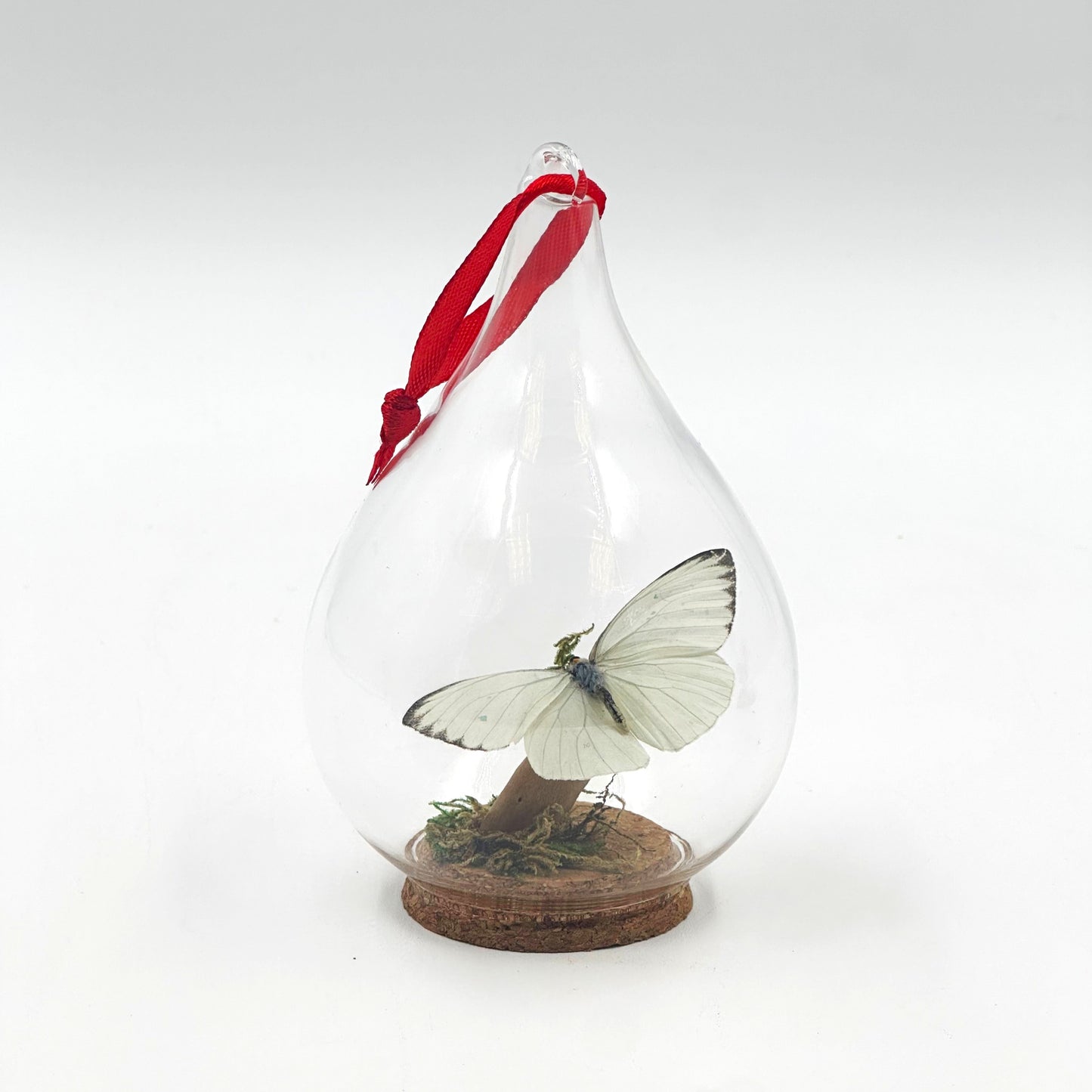 Butterfly Ornament