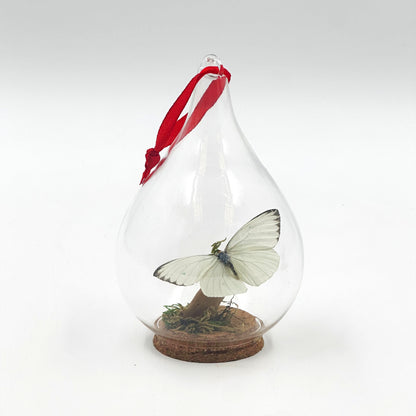 Butterfly Ornament