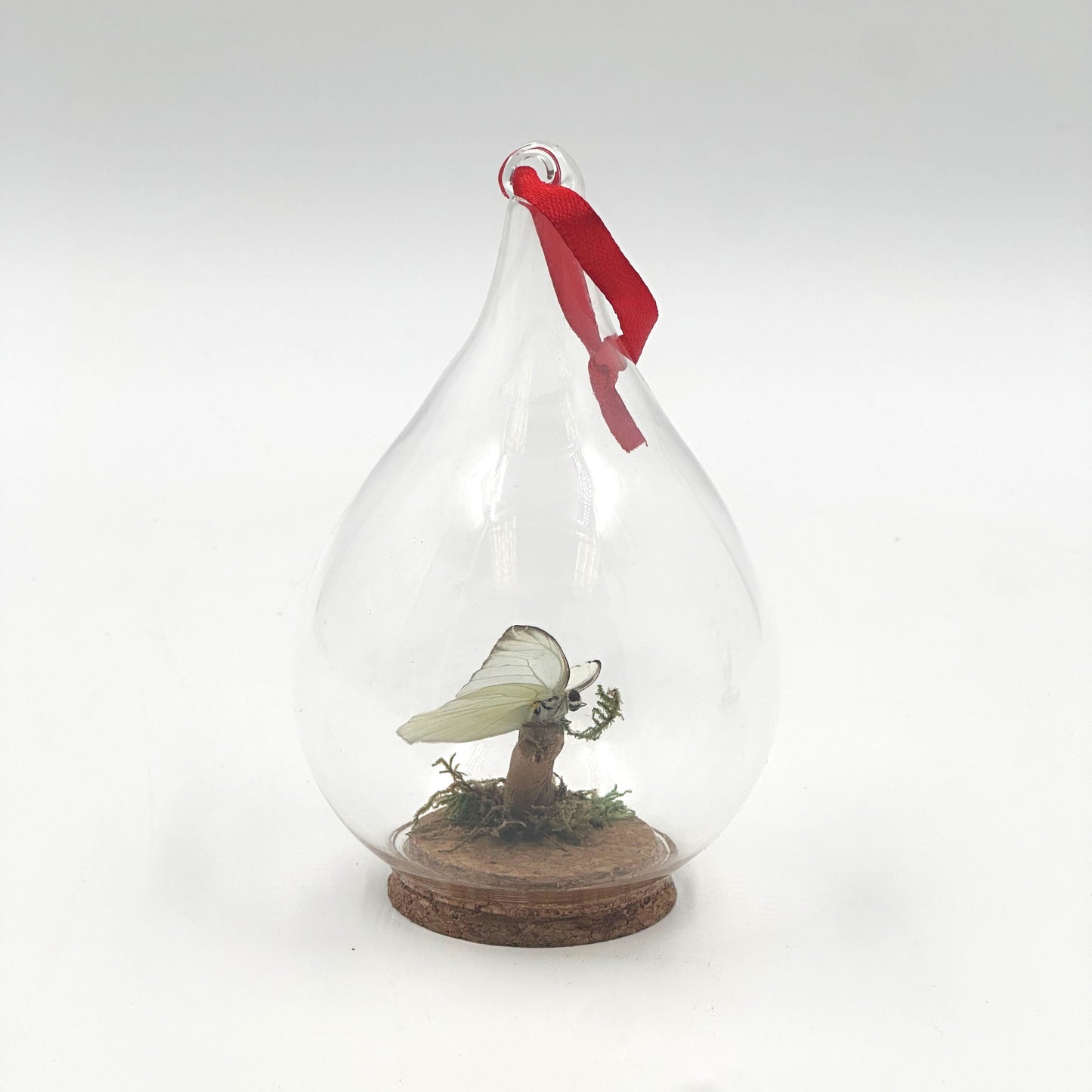 Butterfly Ornament