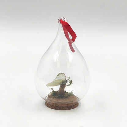 Butterfly Ornament