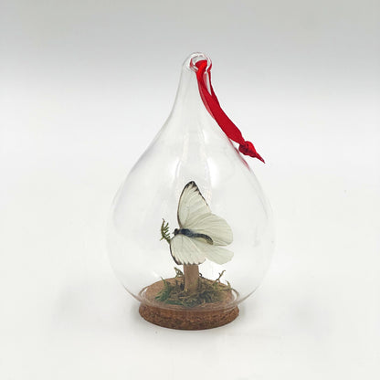 Butterfly Ornament