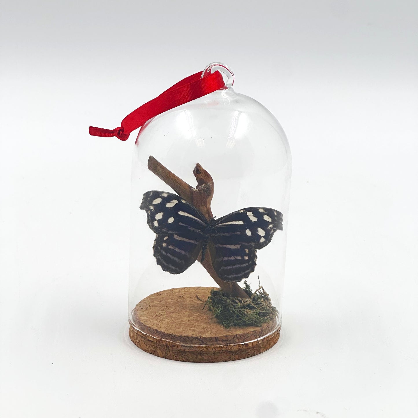 Butterfly Ornament