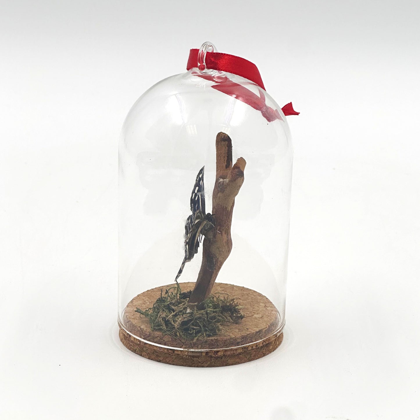 Butterfly Ornament